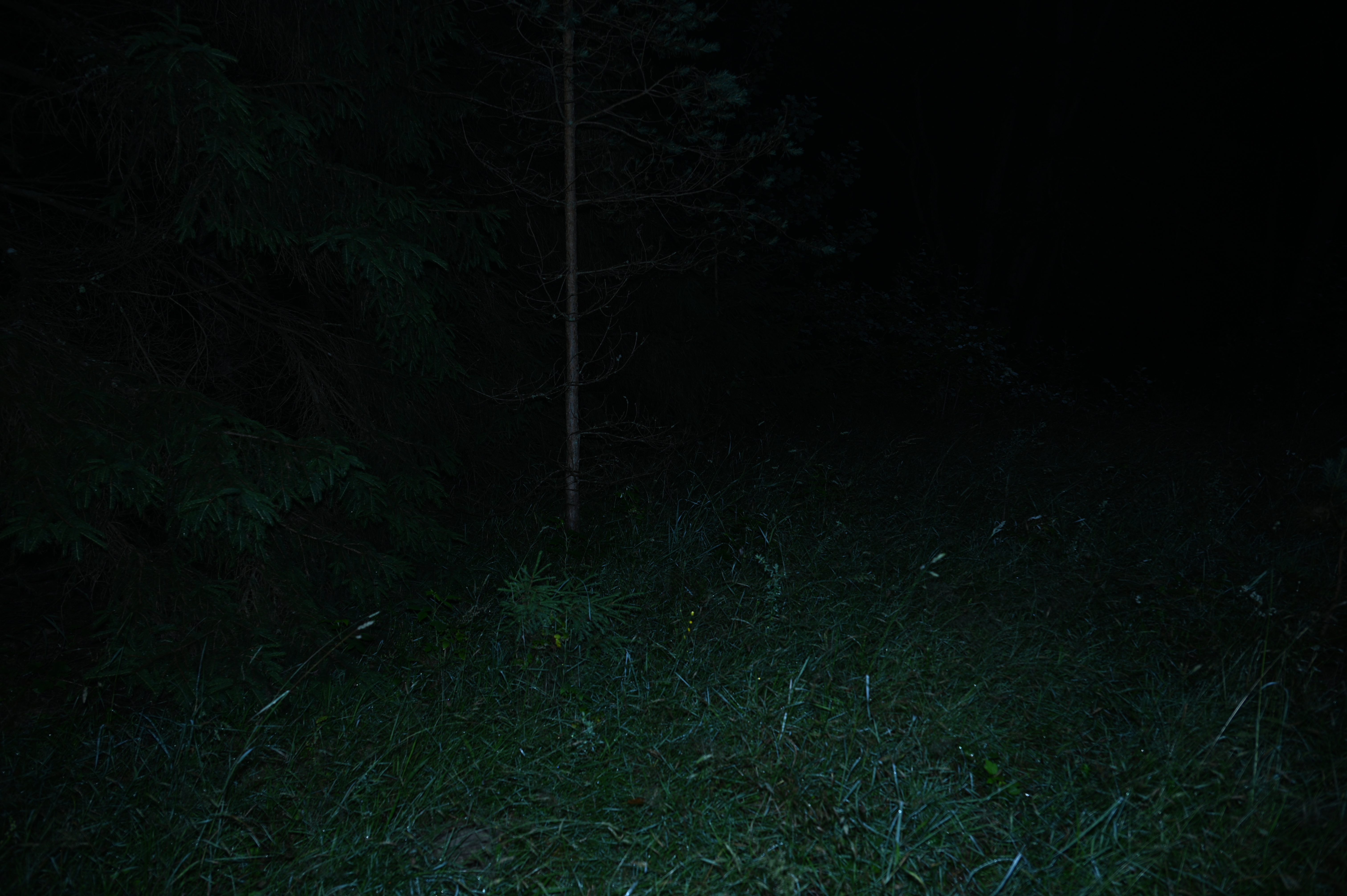 2025/07/09-14 - trip/DSC_0297.JPG